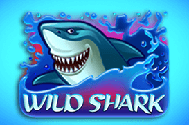 Wild Shark – podwodny slot z rekinami i dużymi wygranymi